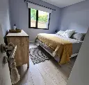 517173573.webp